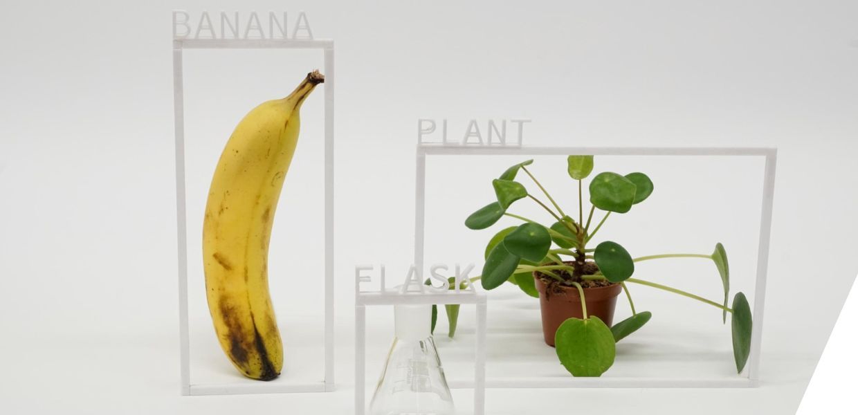 A banana, a plant and a flask on a monochrome surface, each one surrounded by a thin white frame with letters attached that spell the name of the objects
